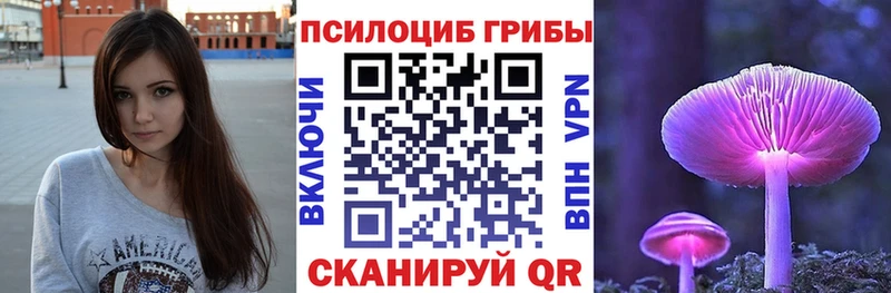 что такое   Павловская  Галлюциногенные грибы Psilocybe 
